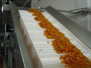 模块网输乐动平台网站登录入口-乐动(中国)
